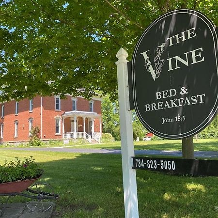 The Vine Bed & Breakfast, Llc ดันดี ภายนอก รูปภาพ