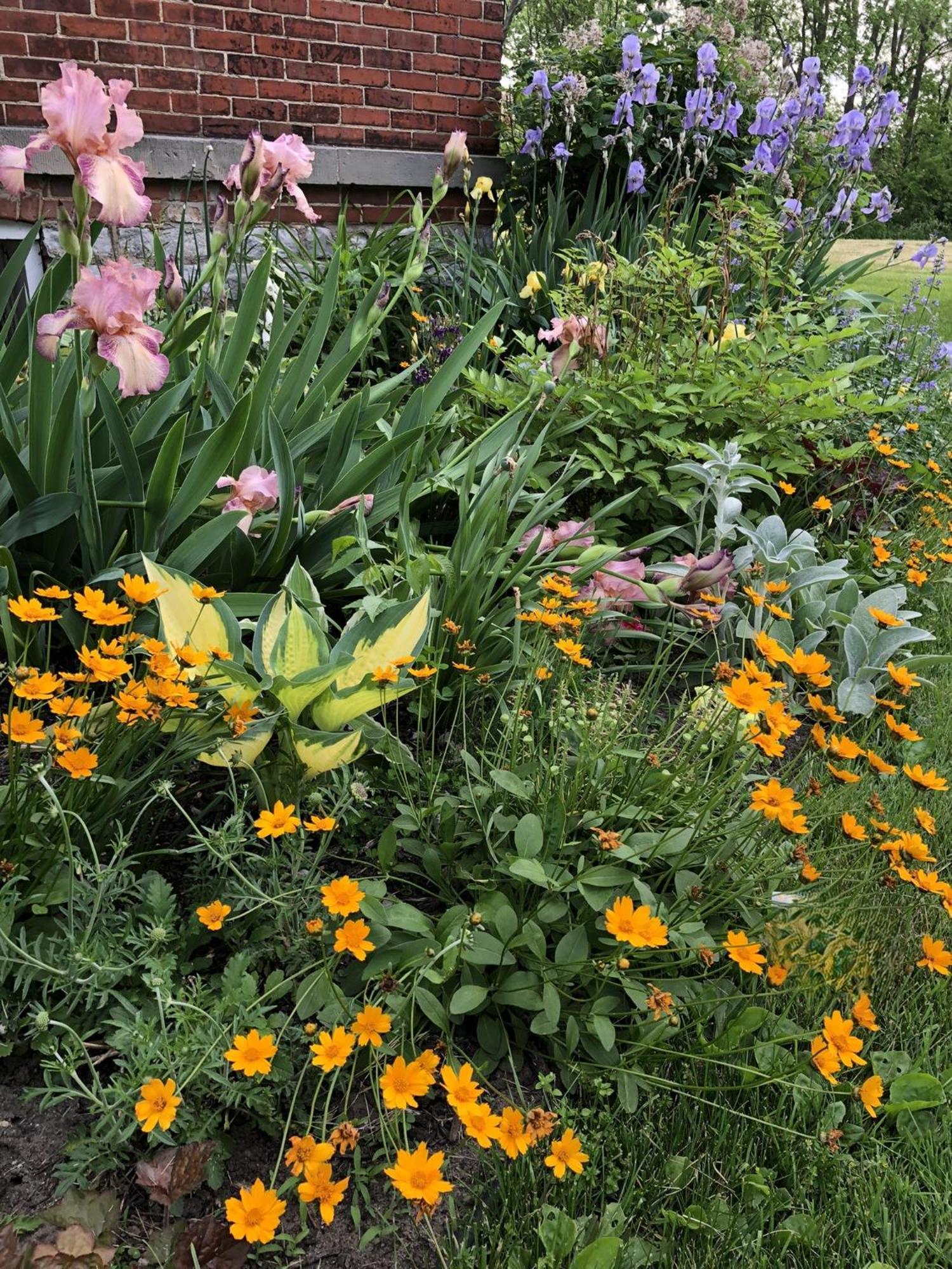 The Vine Bed & Breakfast, Llc ดันดี ภายนอก รูปภาพ