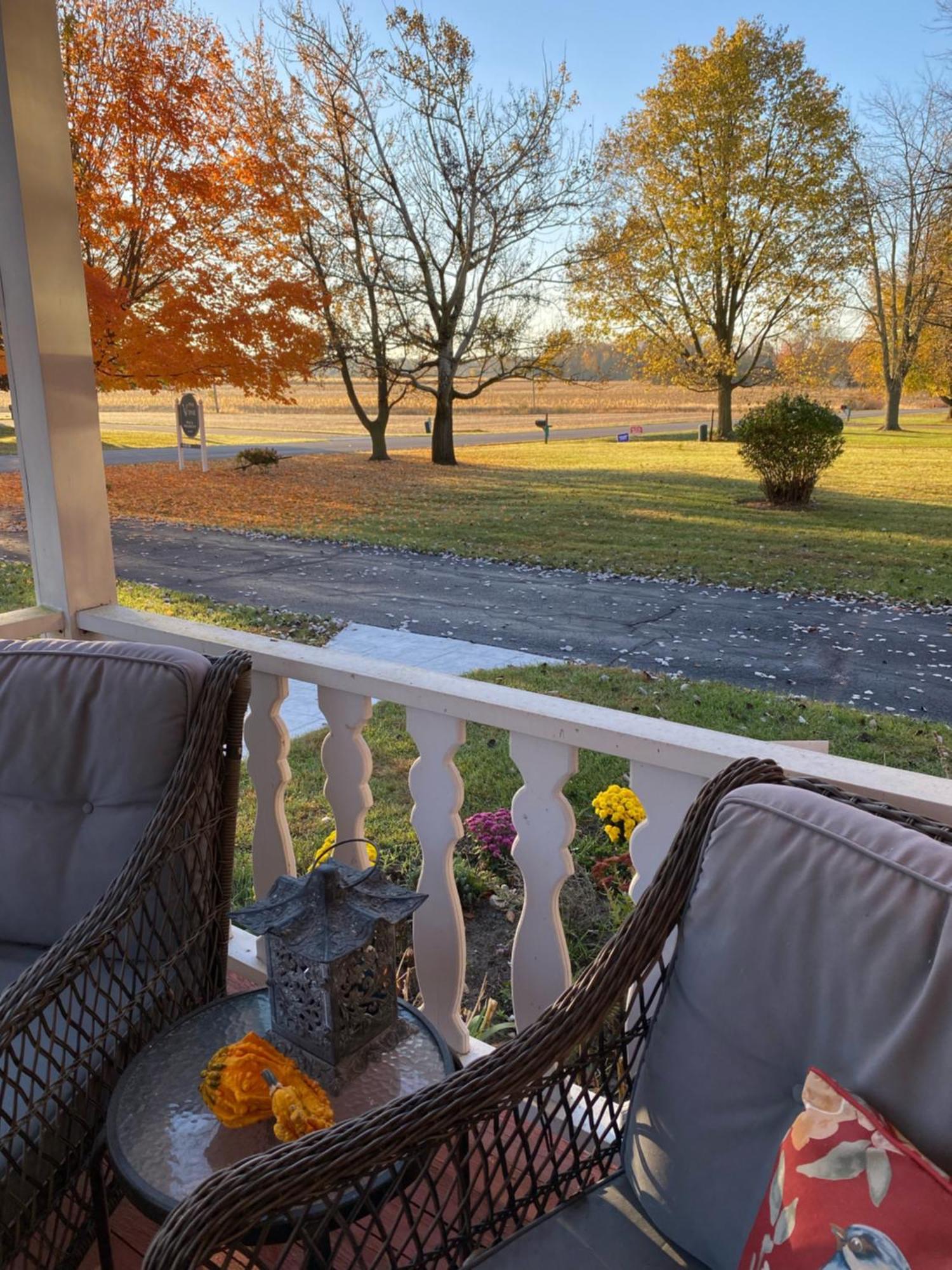 The Vine Bed & Breakfast, Llc ดันดี ภายนอก รูปภาพ