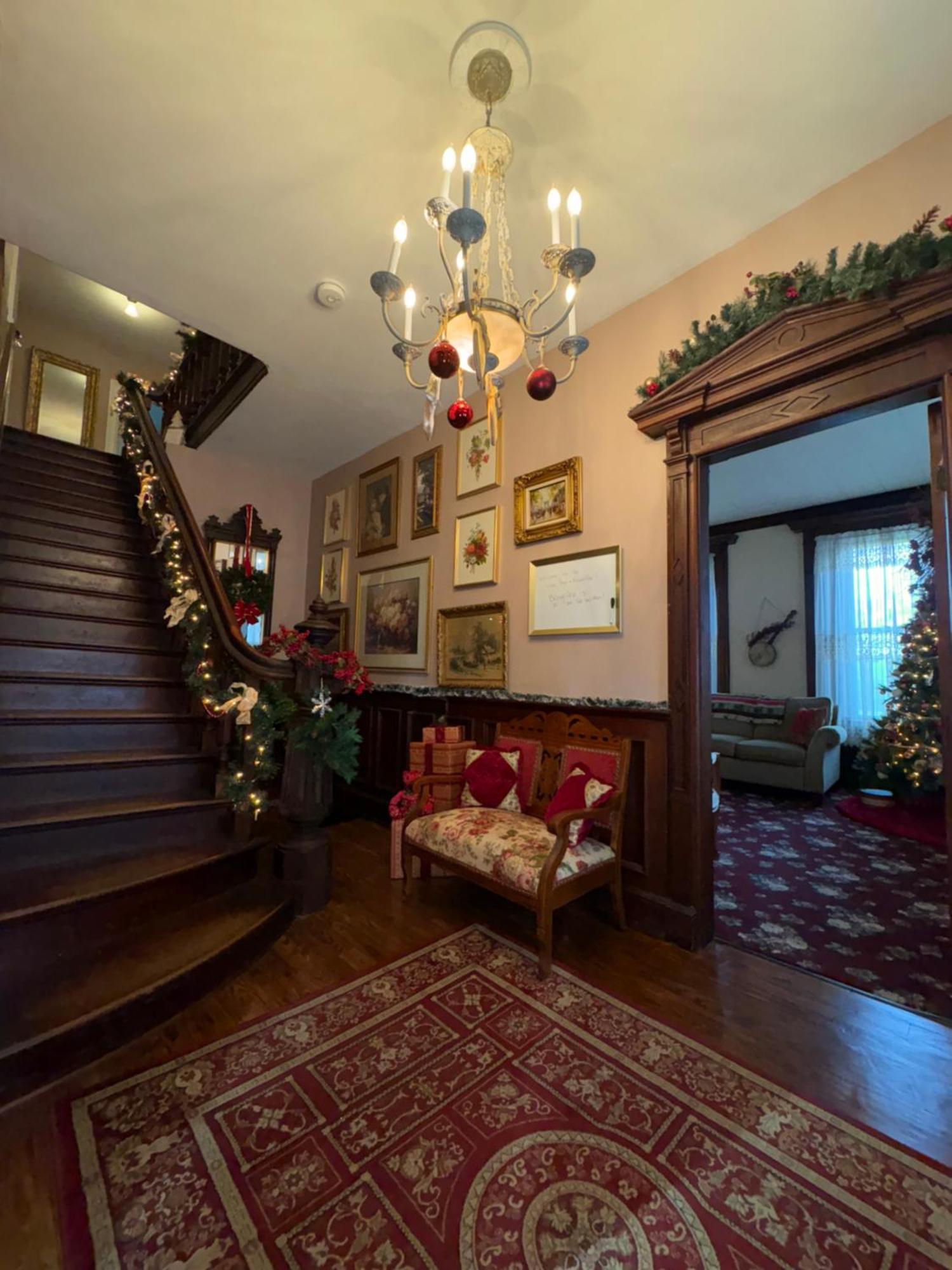 The Vine Bed & Breakfast, Llc ดันดี ภายนอก รูปภาพ
