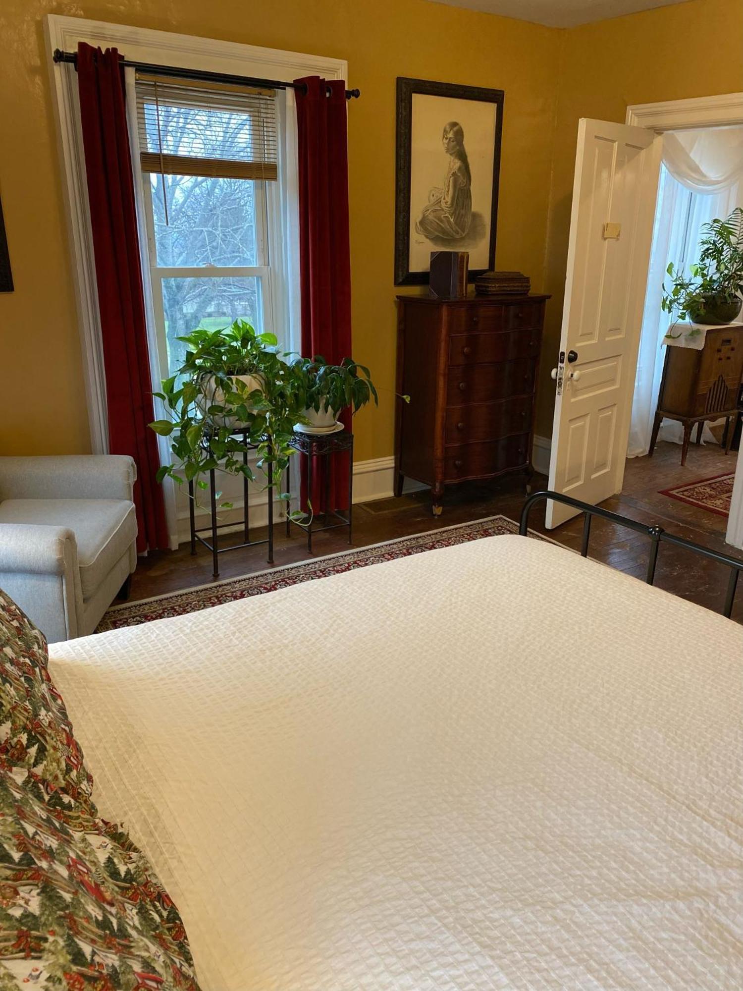 The Vine Bed & Breakfast, Llc ดันดี ภายนอก รูปภาพ