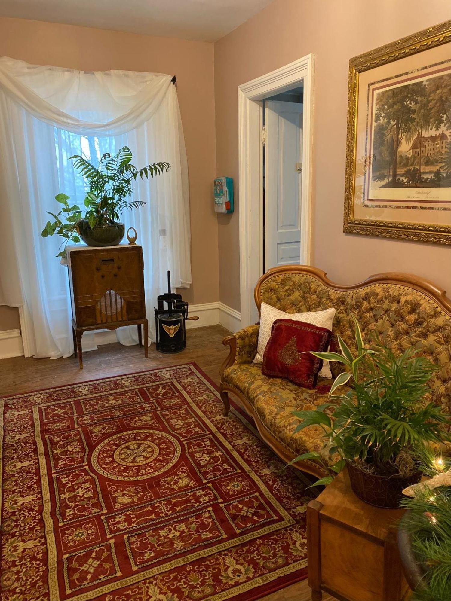 The Vine Bed & Breakfast, Llc ดันดี ภายนอก รูปภาพ